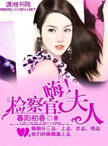 名門第一夫人/嗨,檢察官夫人